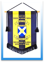 Personalised Soccer Club Pennants